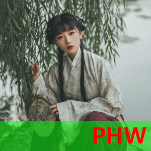 技术实力